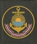Шеврон ВМФ Тихоокенский флот ТОФ 300 приказ