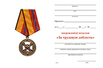 Медаль МО РФ «За трудовую доблесть»