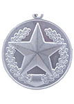 Медаль «За отличие в соревнованиях» МО 2 место с бланком удостоверения