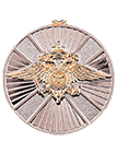Медаль «За заслуги в службе в особых условиях» МВД РФ с бланком удостоверения