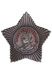 Орден Суворова 3 степени (Муляж)