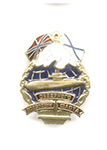Знак «Подводник Северного флота»