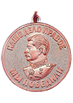 Медаль «За доблестный труд в Великой Отечественной войне 1941-1945» (Муляж)