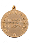 Медаль «За победу над Германией в Великой Отечественной Войне 1941-1945 гг.» (Муляж)