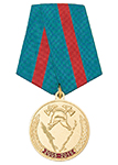 Медаль «10 лет противопожарной службе Сахалинской области» (2005 - 2015) с бланком удостоверения