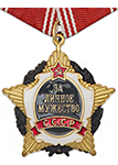 Орден «За личное мужество» (на колодке, муляж стандартный)