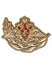 Фрачный знак МО «Ветеран Вооруженных Сил Российской Федерации»