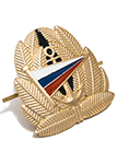 Кокарда для курсантов морских училищ (с Российским флагом)