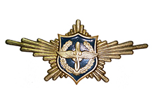 Нагрудный знак ВВС для рот почётного караула РА