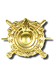 Петличная эмблема внутренних войск МВД золотого цвета
