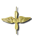 Петличная эмблема ВВС