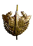 Петличная эмблема войск ПВО старого образца