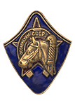Знак «Осоавиахим СССР», копия