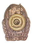 Знак «Участнику Хасанских боев», копия