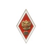 Знак «Выпускник юридического ВУЗа» с накладным гербом