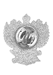 Знак «Почетный работник сферы образования Российской Федерации»