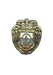 Знак фрачный «Академия ФАПСИ»