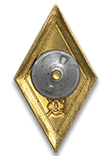 Знак отличия (ромб) «За окончание образовательных организаций ВО ФСИН» с отличием(винт)