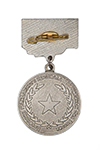 Медаль «30 лет профсоюзу ВС России. Ветеран» с бланком удостоверения