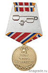 Медаль «ООВВПОС Тюменской области "Столяров А.М."» с бланком удостоверения