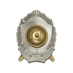 Нагрудный знак Росгвардии «Участник боевых действий» с бланком удостоверения