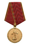 Медаль «За заслуги в деятельности специальных подразделений»