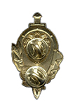 Знак ФСО России «Ветеран»