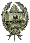 Знак Красного командира пулеметных частей РККА, копия