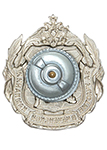 Знак «За участие в Чеченской кампании»