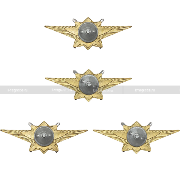 Знак классности ВС РФ, офицерский состав, нового образца Мастер