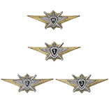 Знак классности ВС РФ, офицерский состав, нового образца Мастер