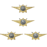 Знак классности ВС РФ, офицерский состав, нового образца Мастер