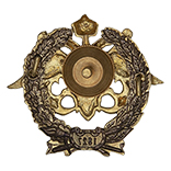 Нагрудный знак «Военно-морская академия»
