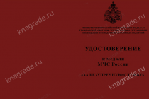 Медаль МЧС России «За безупречную службу» с бланком удостоверения
