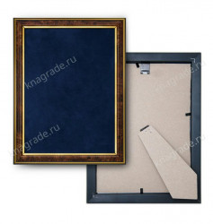 Наградное панно «45 лет подразделениям БППГ МВД России»