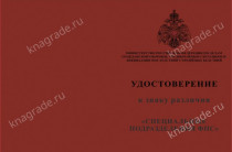 Знак «Специальные подразделения ФПС» с бланком удостоверения