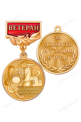 Медаль «Ветеран атомной энергетики» с бланком удостоверения