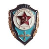 Значок «Отличник ВВС»