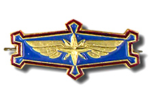 Петличная эмблема Минтранса Петличная эмблема Минтранса